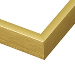 Frame: 111FGL - Economy Rainbow Metal - Frosted Gold - 11 Frame: 111FGL - Economy Rainbow Metal - Frosted Gold - 11