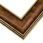 Frame: SM5 - Framer Frame: SM5 - Framer