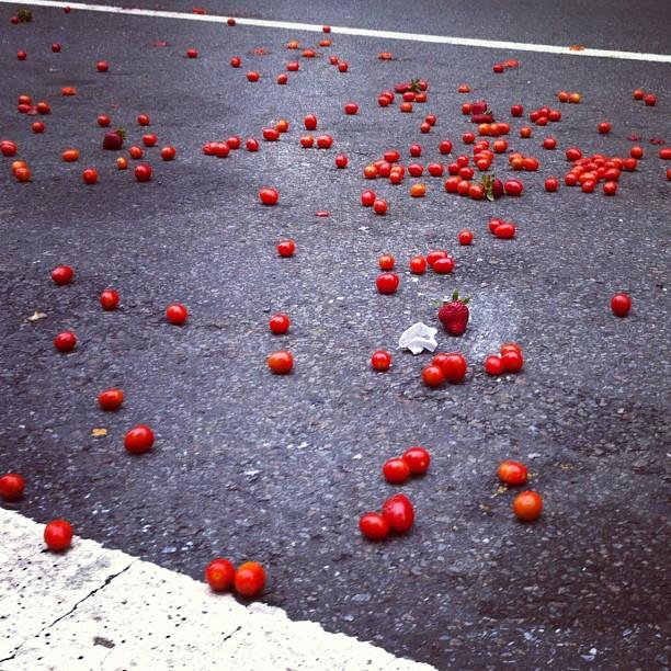 Deirdre Mars - "someone Has Hidden Strawberries Among
